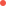 +0406 688 975